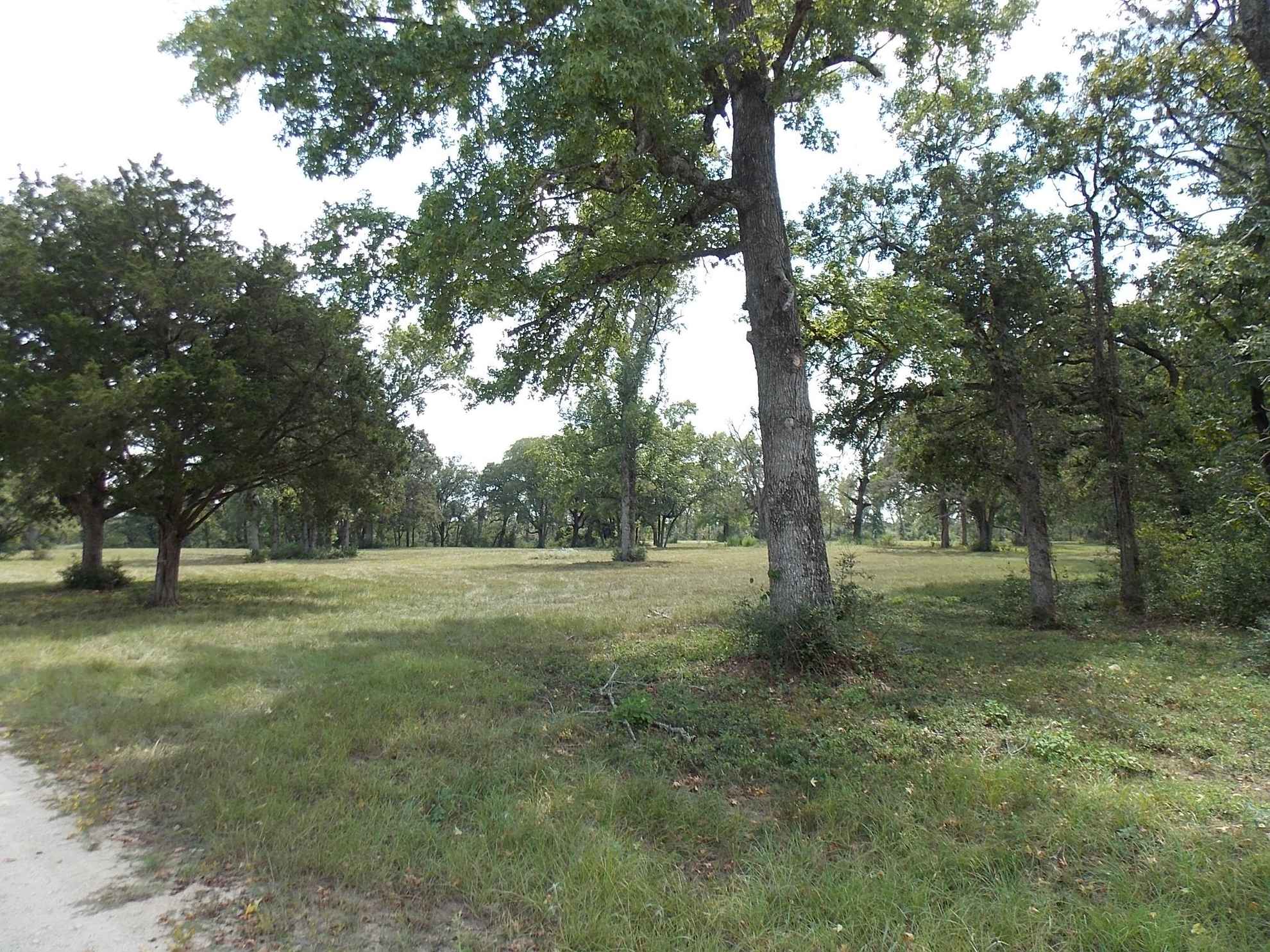 592 acres in Leon County, Texas Circle T Realty Centerville TX Commercial Residential Real Estate