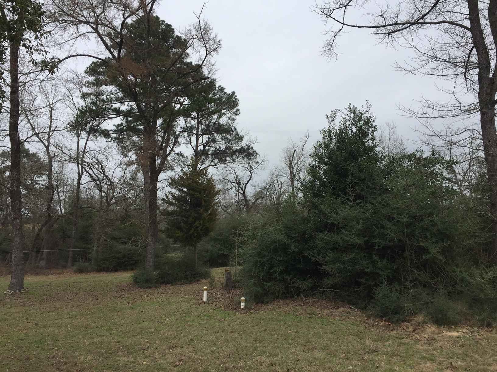 10 acres in Leon County, Texas Circle T Realty Centerville TX Commercial Residential Real Estate