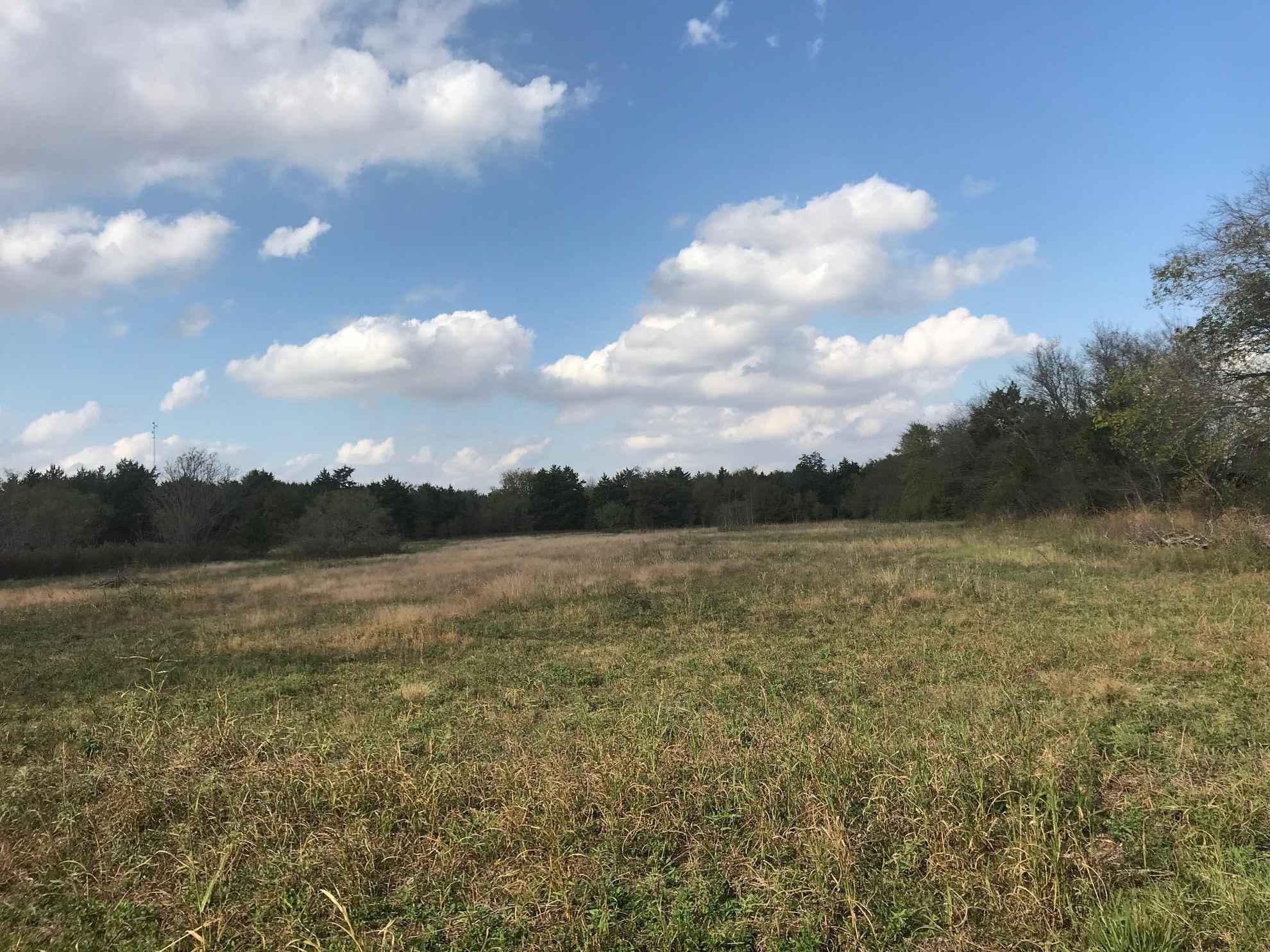 52.65 acres in Limestone County, Texas Circle T Realty Centerville TX Commercial Residential