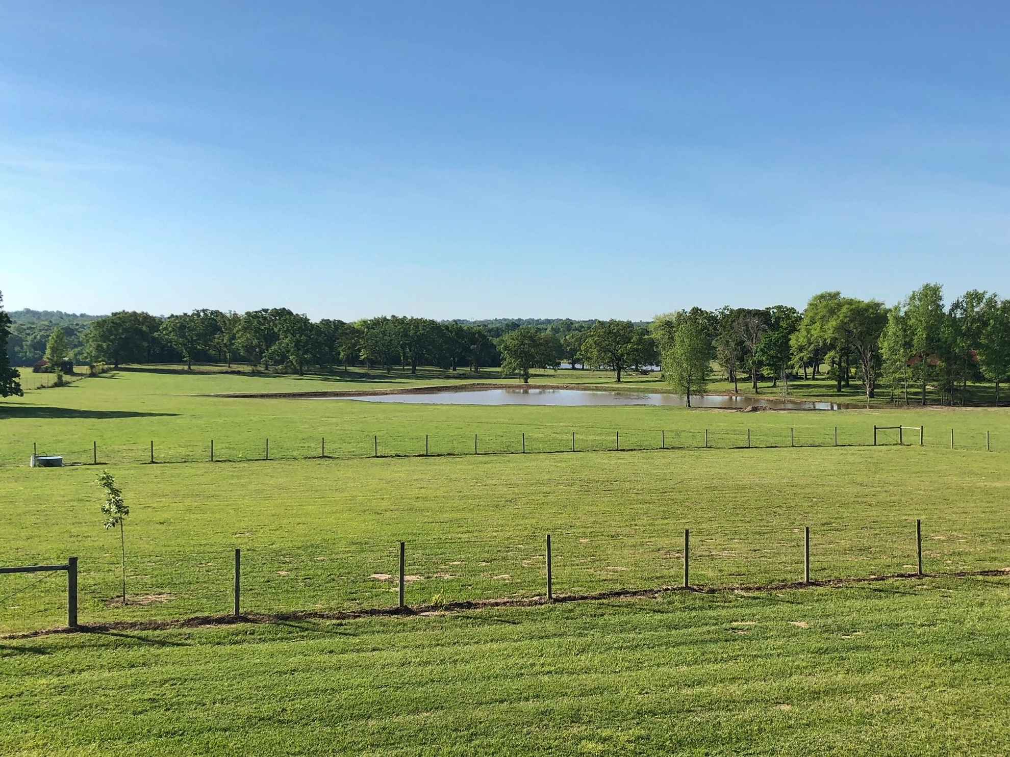 240 acres in Freestone County, Texas Circle T Realty Centerville TX