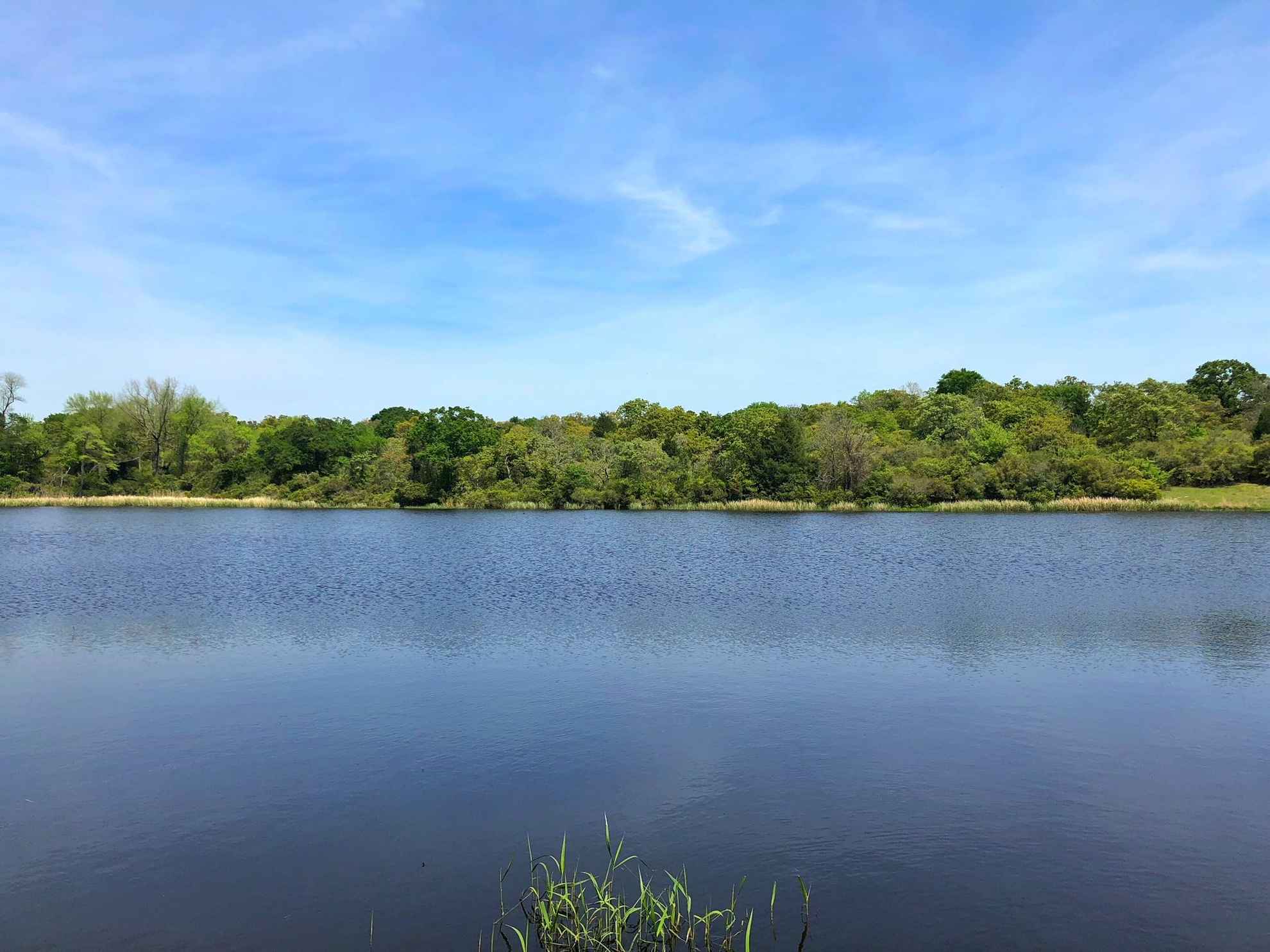 1,204.84 acres in Leon County, Texas Circle T Realty Centerville TX Commercial Residential