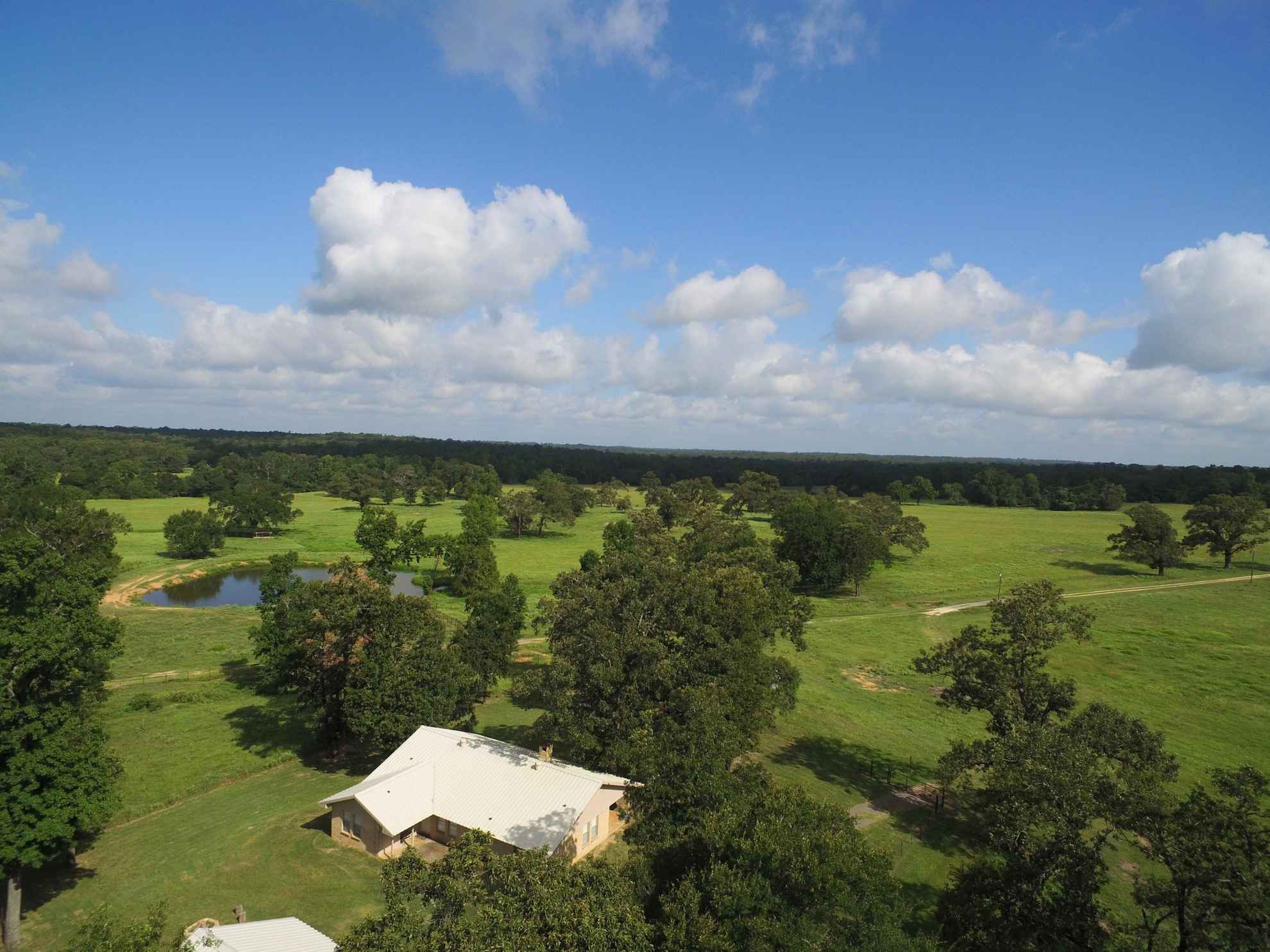 444 acres in Leon County, Texas Circle T Realty Centerville TX