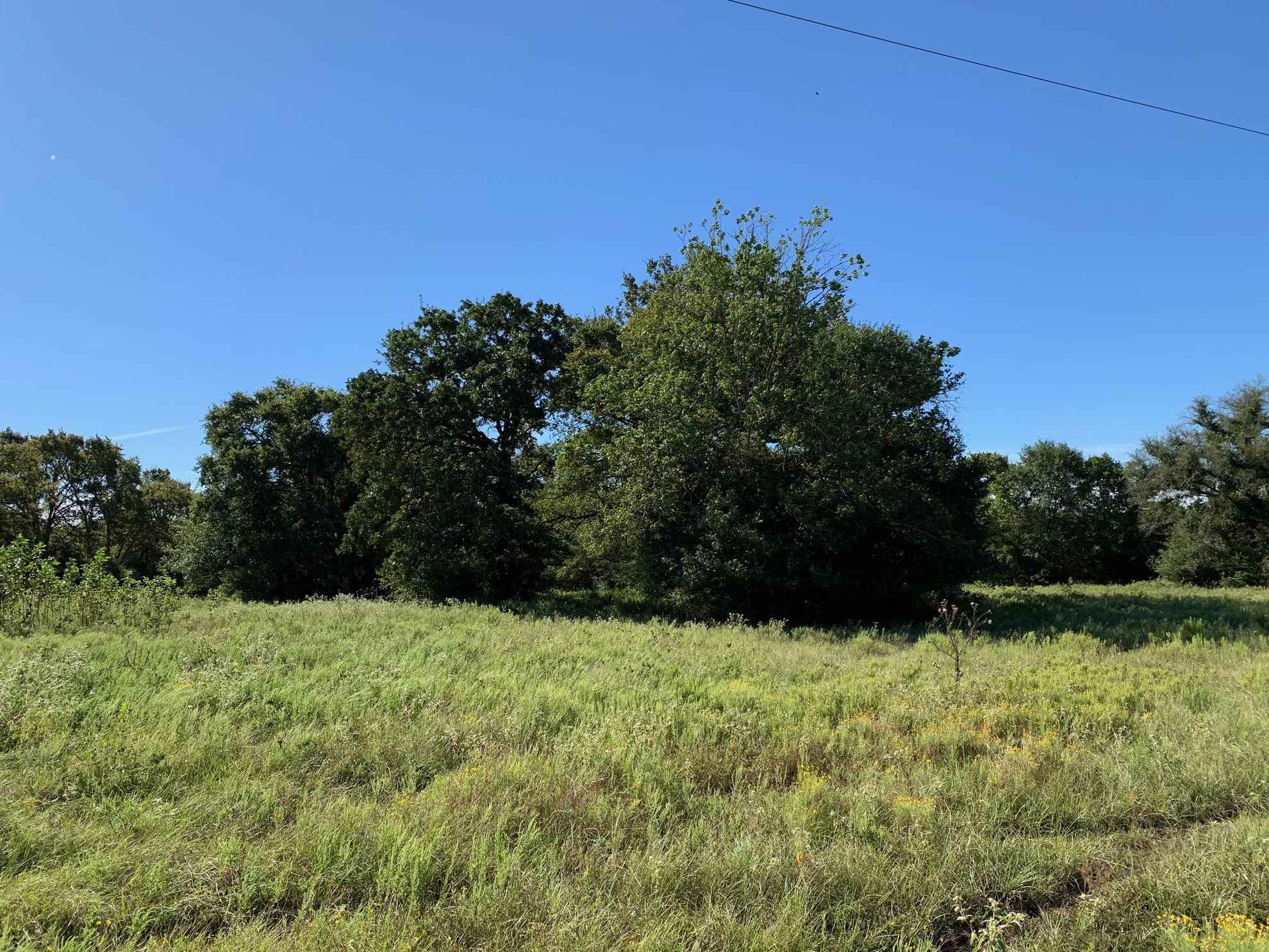 133.8 acres in Leon County, Texas Circle T Realty Centerville TX Commercial Residential Real