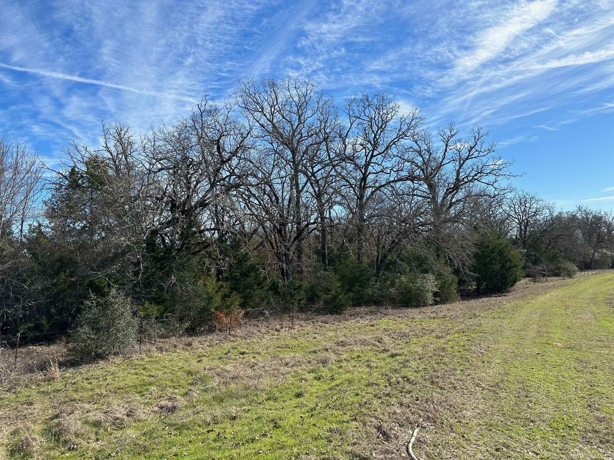 10.65 acres in Leon County, Texas Circle T Realty Centerville TX