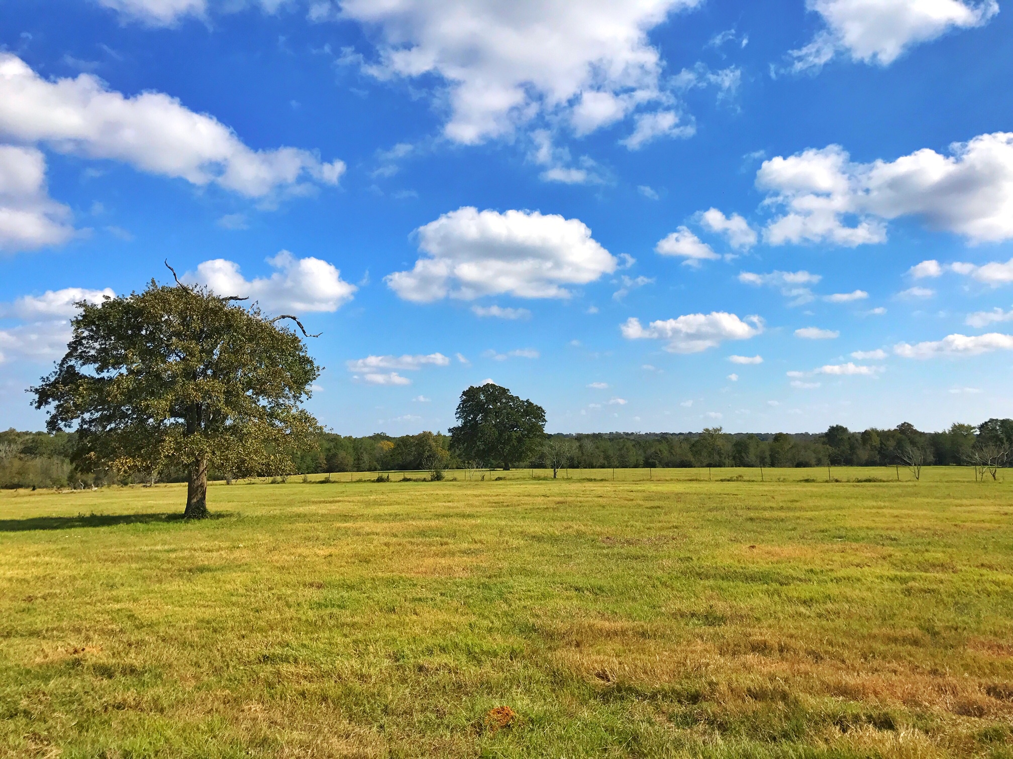 Offices Circle T Realty Centerville TX Commercial Residential Real Estate